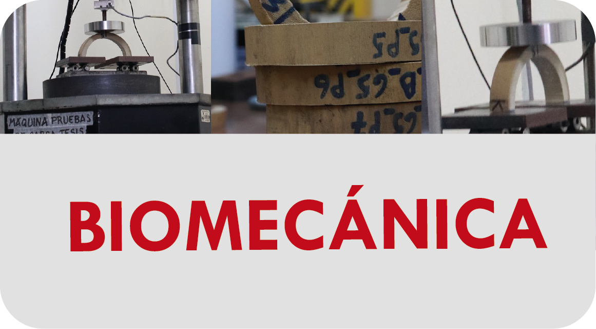 Grupo biomecanica