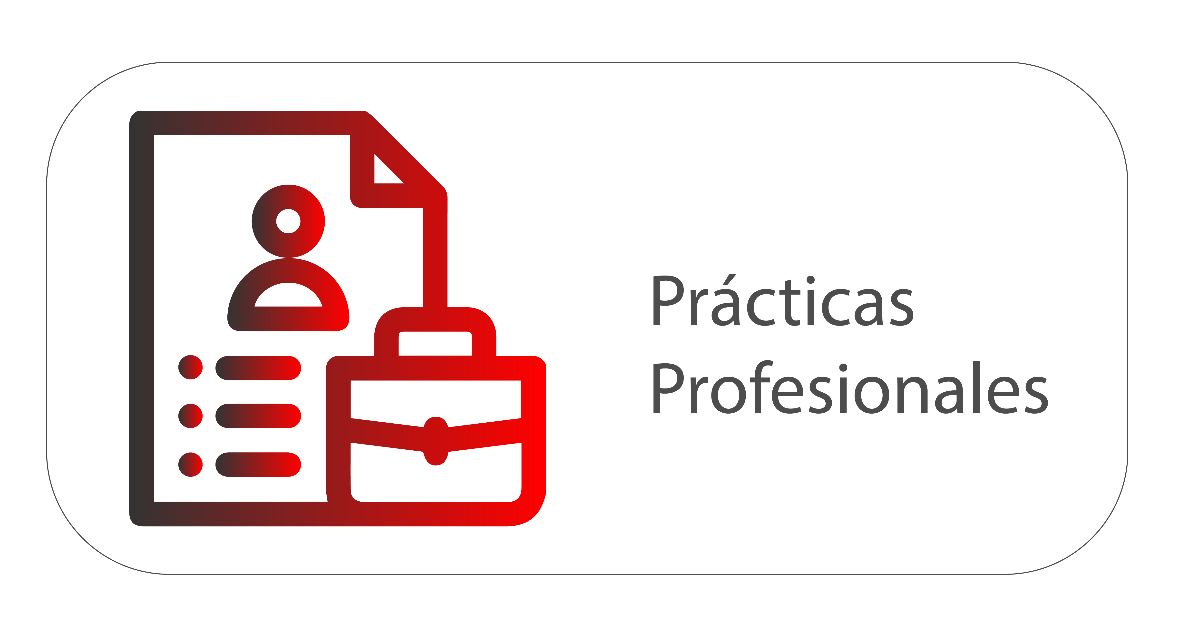 Prácticas profesionales
