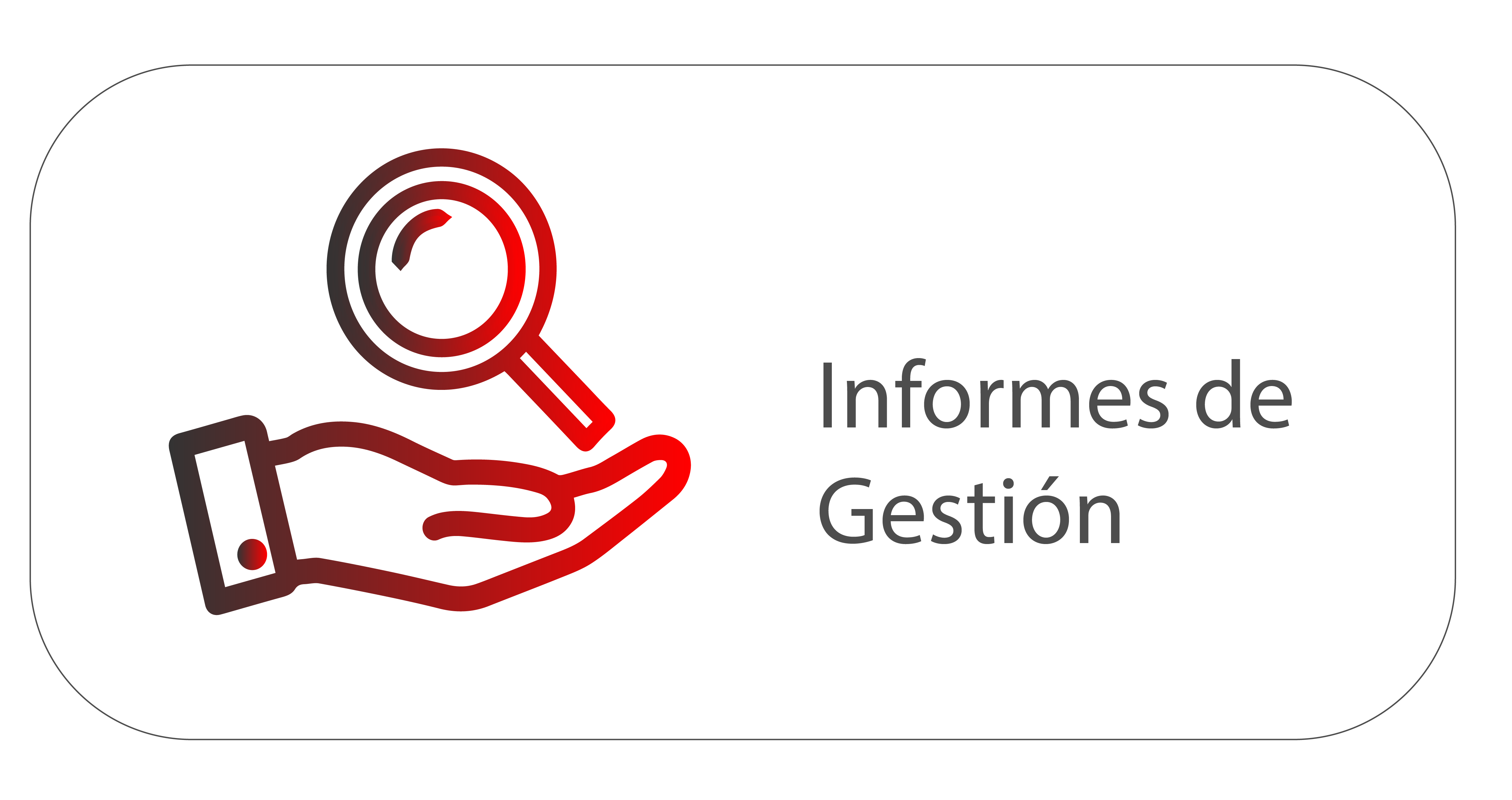Informe de gestión