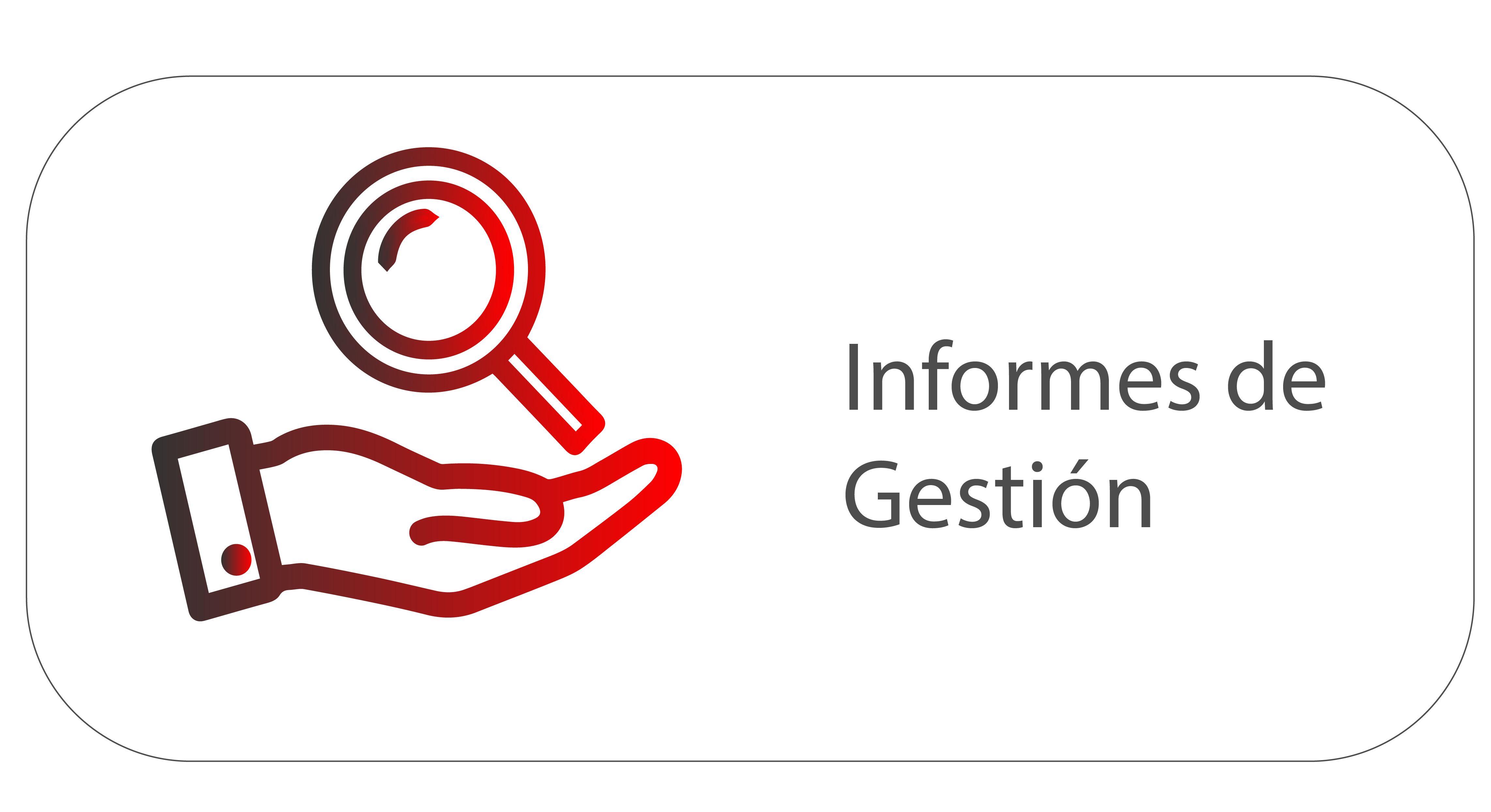 Informe de gestion