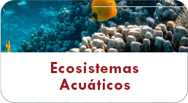 Ecosistemas Acuaticos