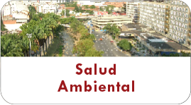 Salud Ambiental