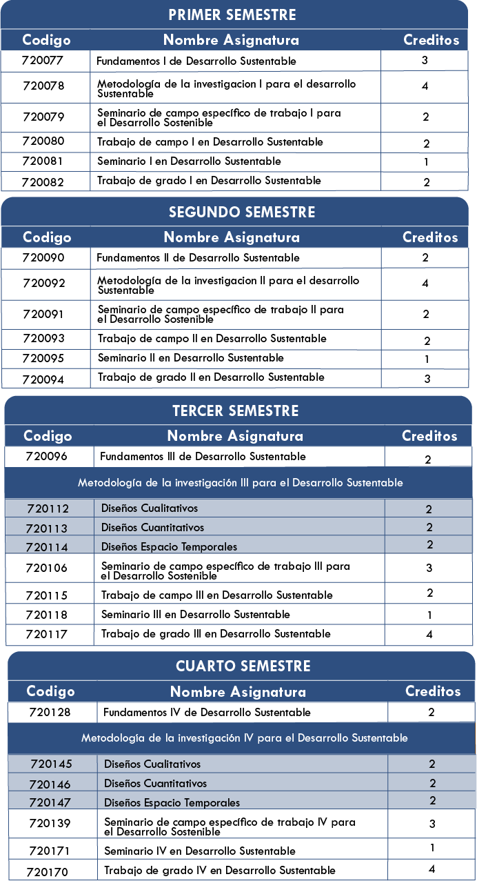 Estructura Curricular