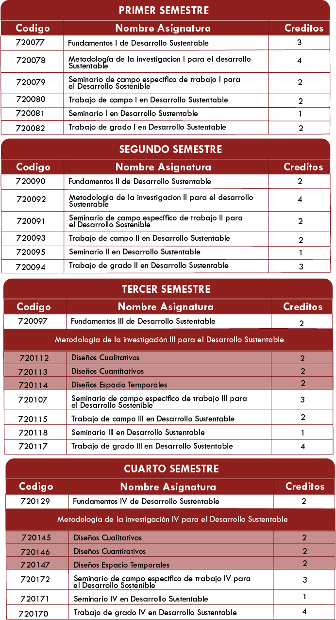 Estructura Curricular