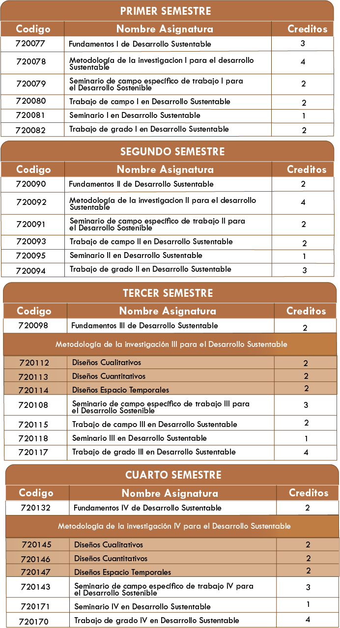 Estructura Curricular