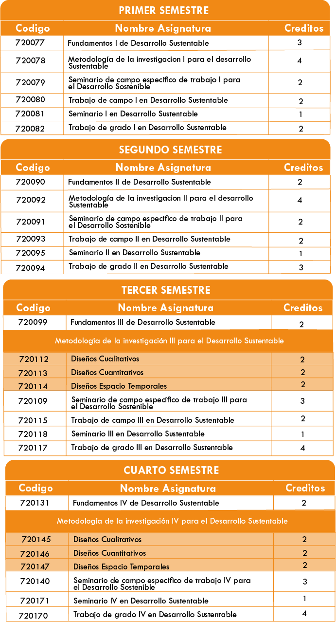 Estructura Curricular