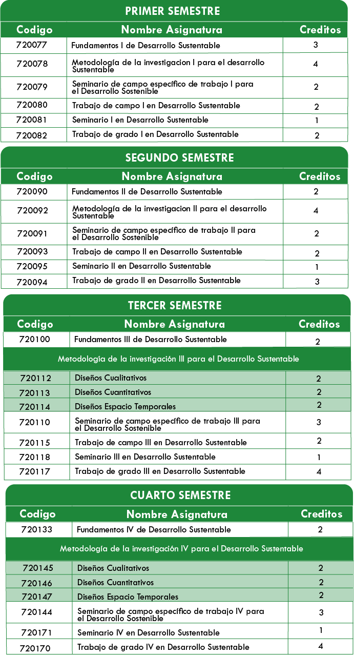 Estructura Curricular