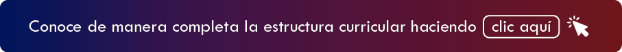 Conoce de manera completa la estructura curricular haciendo ..